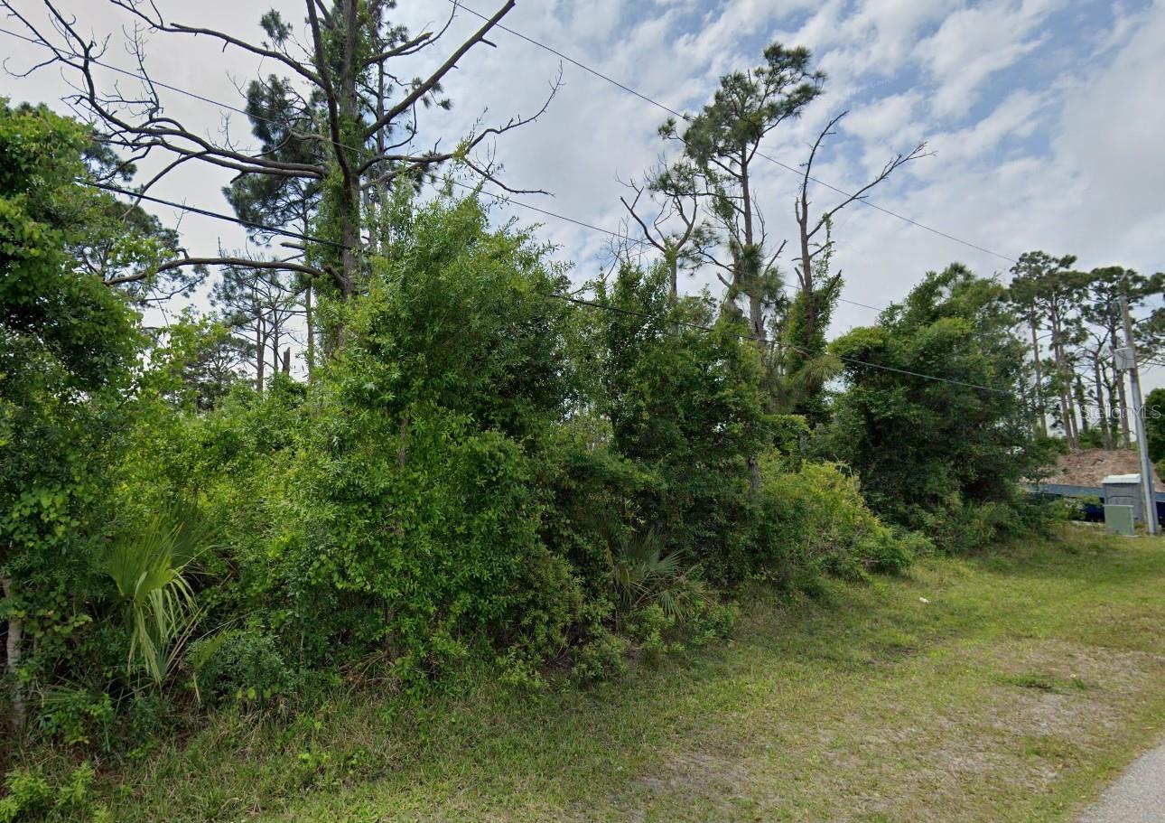 12519 Patsy Avenue, FL