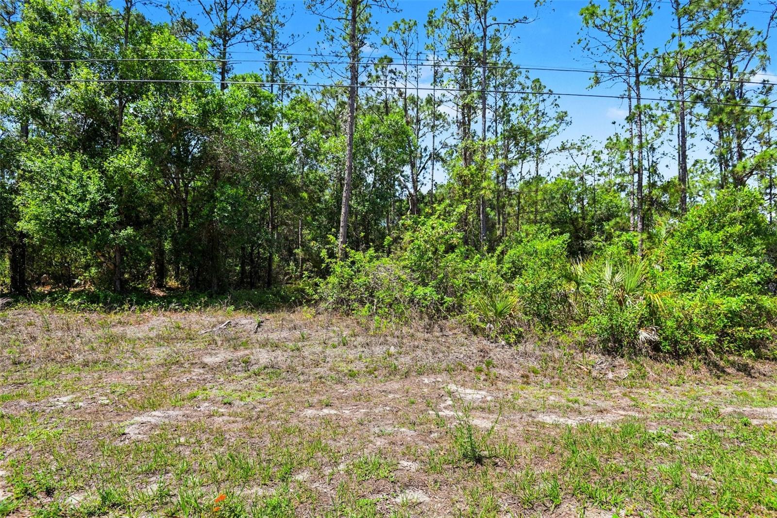 711 Wellington Avenue, FL