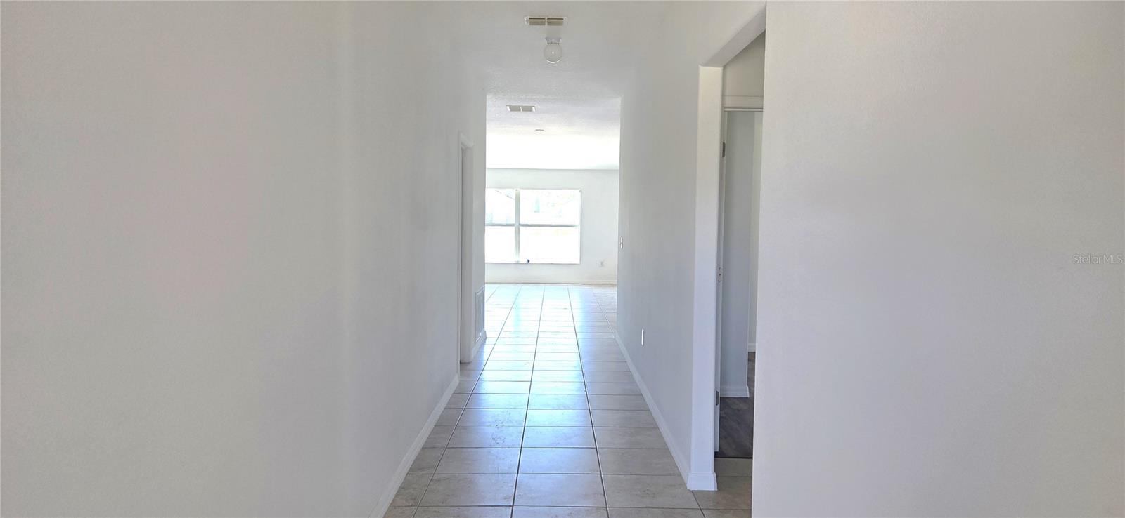 10033 Crested Fringe Drive, FL