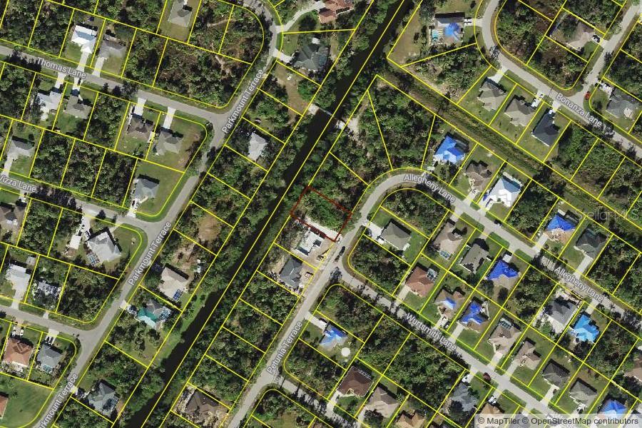 Petunia Ter, FL