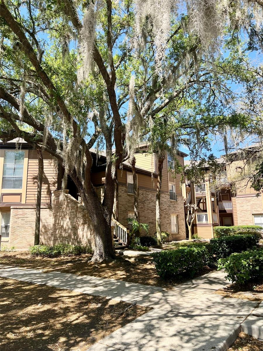 486 Pin Oak Place, FL