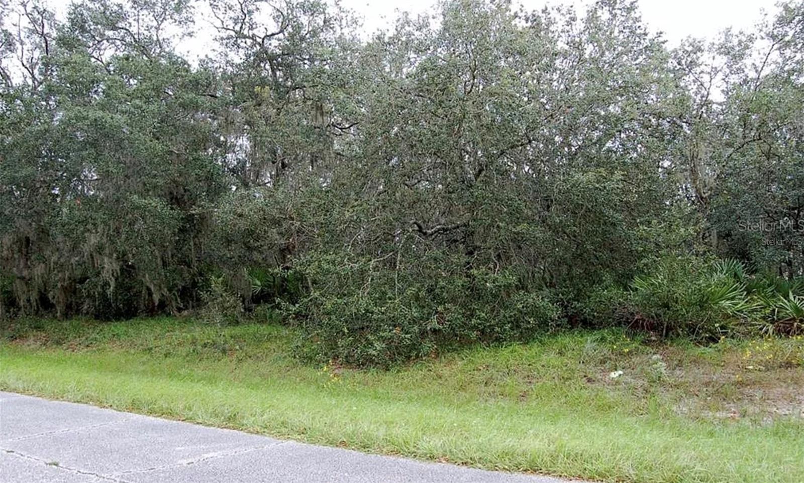 0 St Johns Ct, FL
