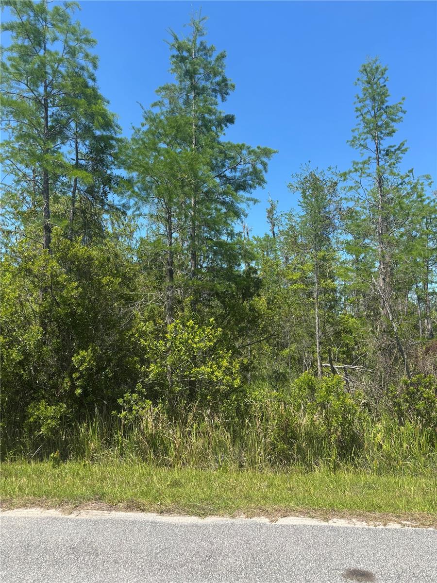 Atlas Dr, FL