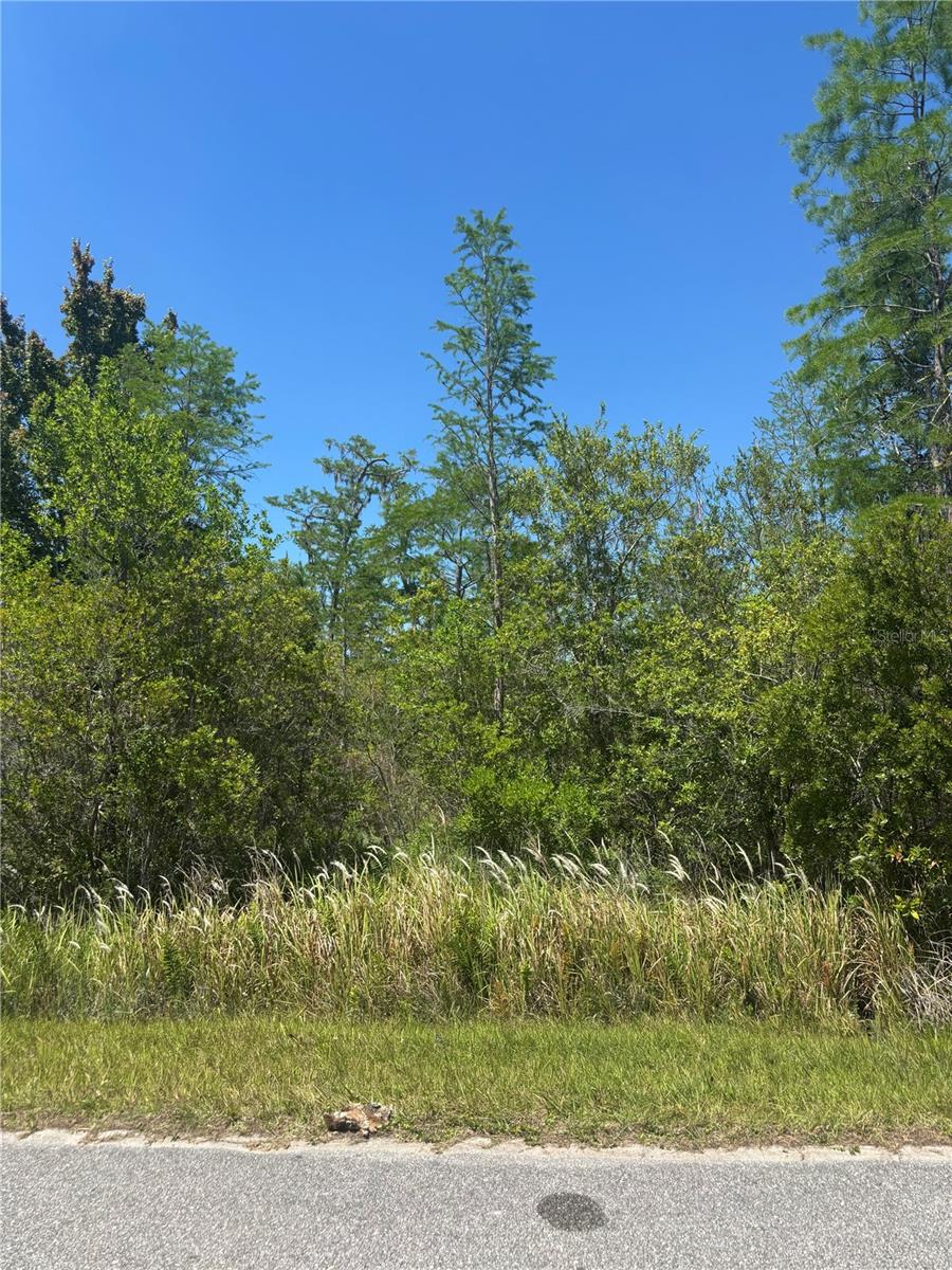 Atlas Drive, FL
