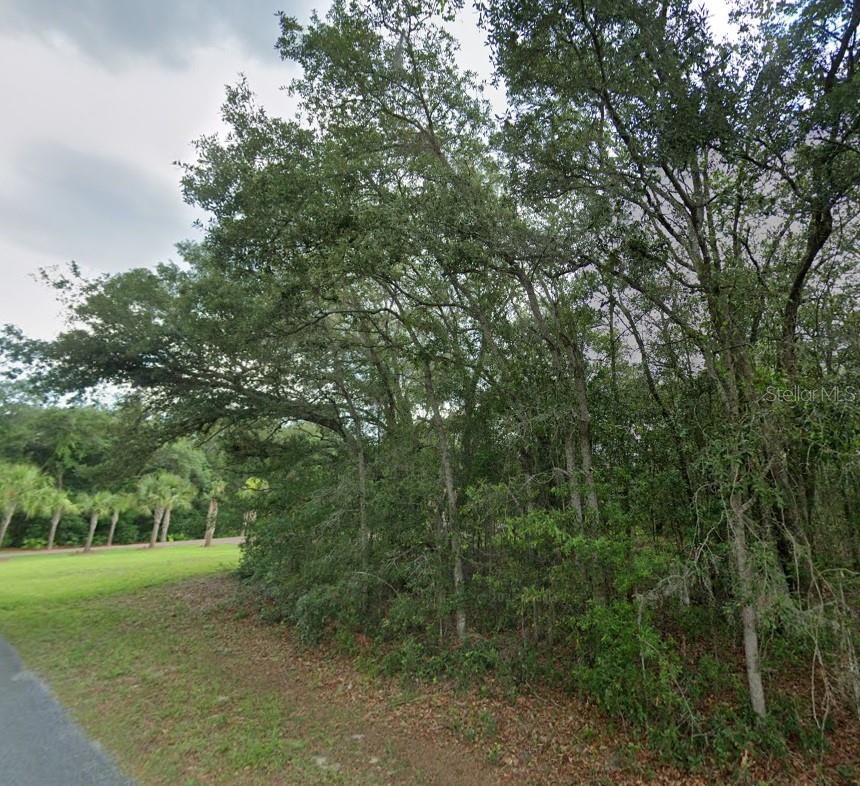 1449 E Wedgewood Ln, FL