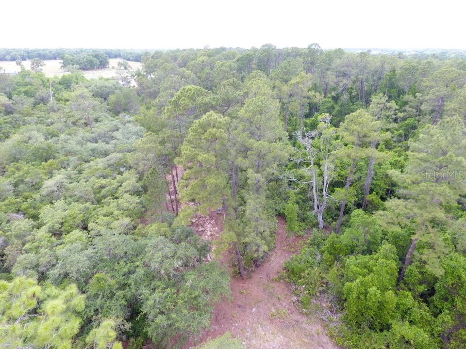 161 Snake Hill Rd, FL