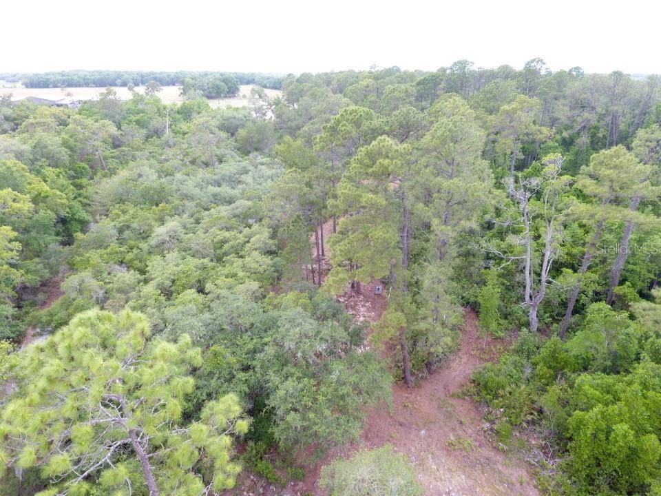 155 Snake Hill Rd, FL