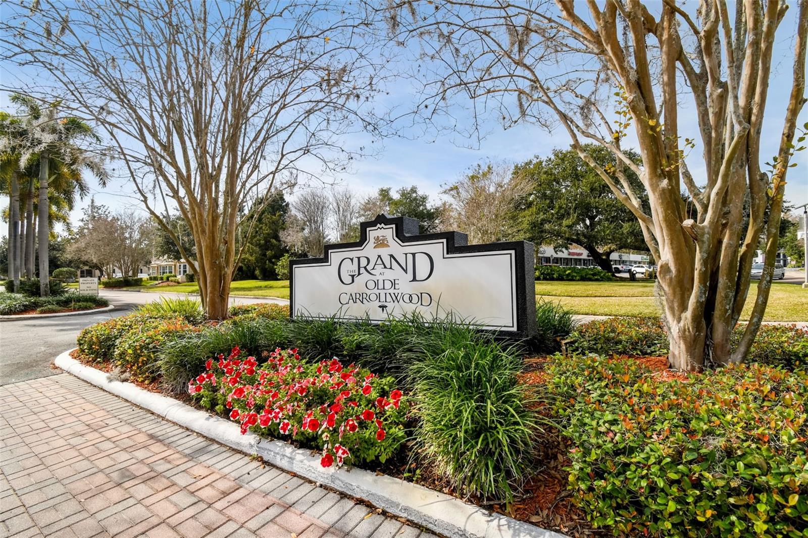 10314 Carrollwood Court, FL