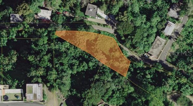 Lot#1-A Los Colones Sector, Quebrada Arenas Ward, PR