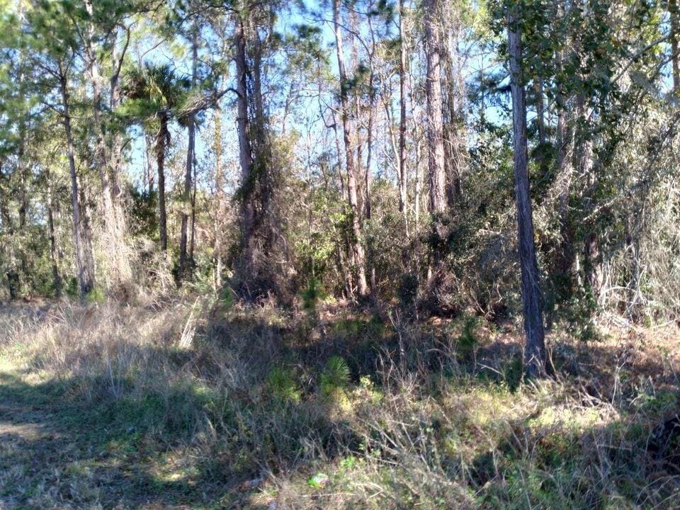 Poyner Rd, FL