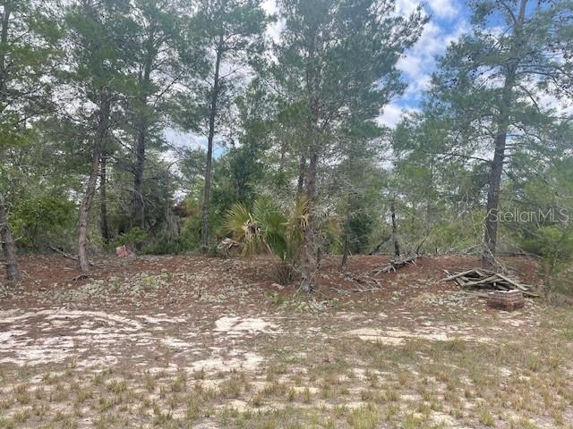 1342 Homosassa Dr, FL