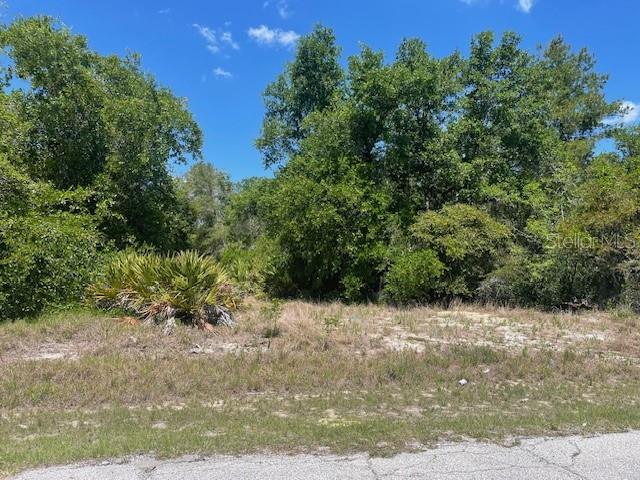 Kissimmee Way, FL