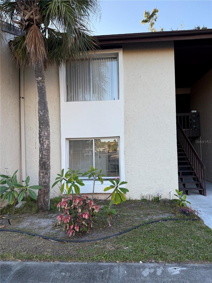 2611 Pine Lake Terrace, FL