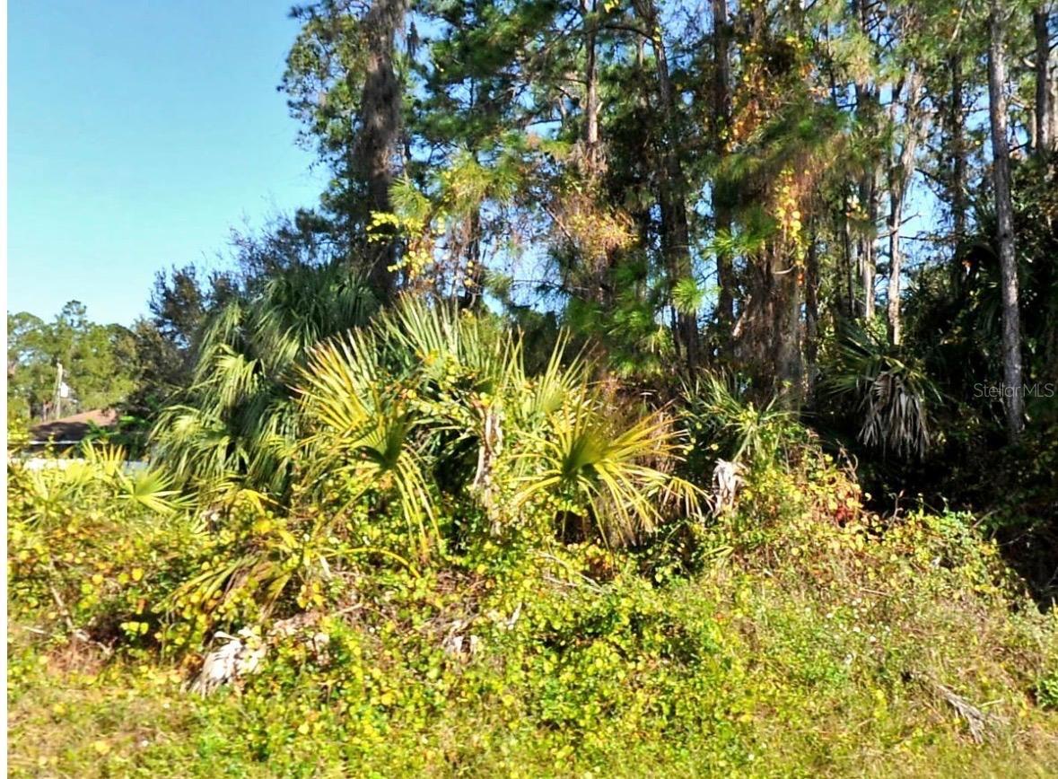 Zambrana Ave, FL