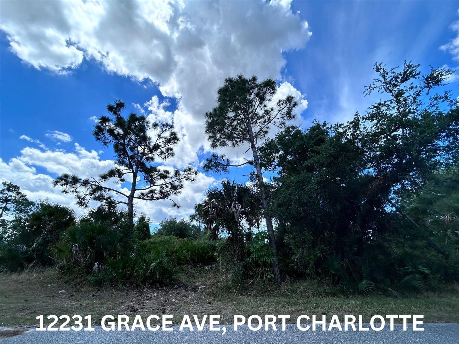 12231 Grace Ave, FL