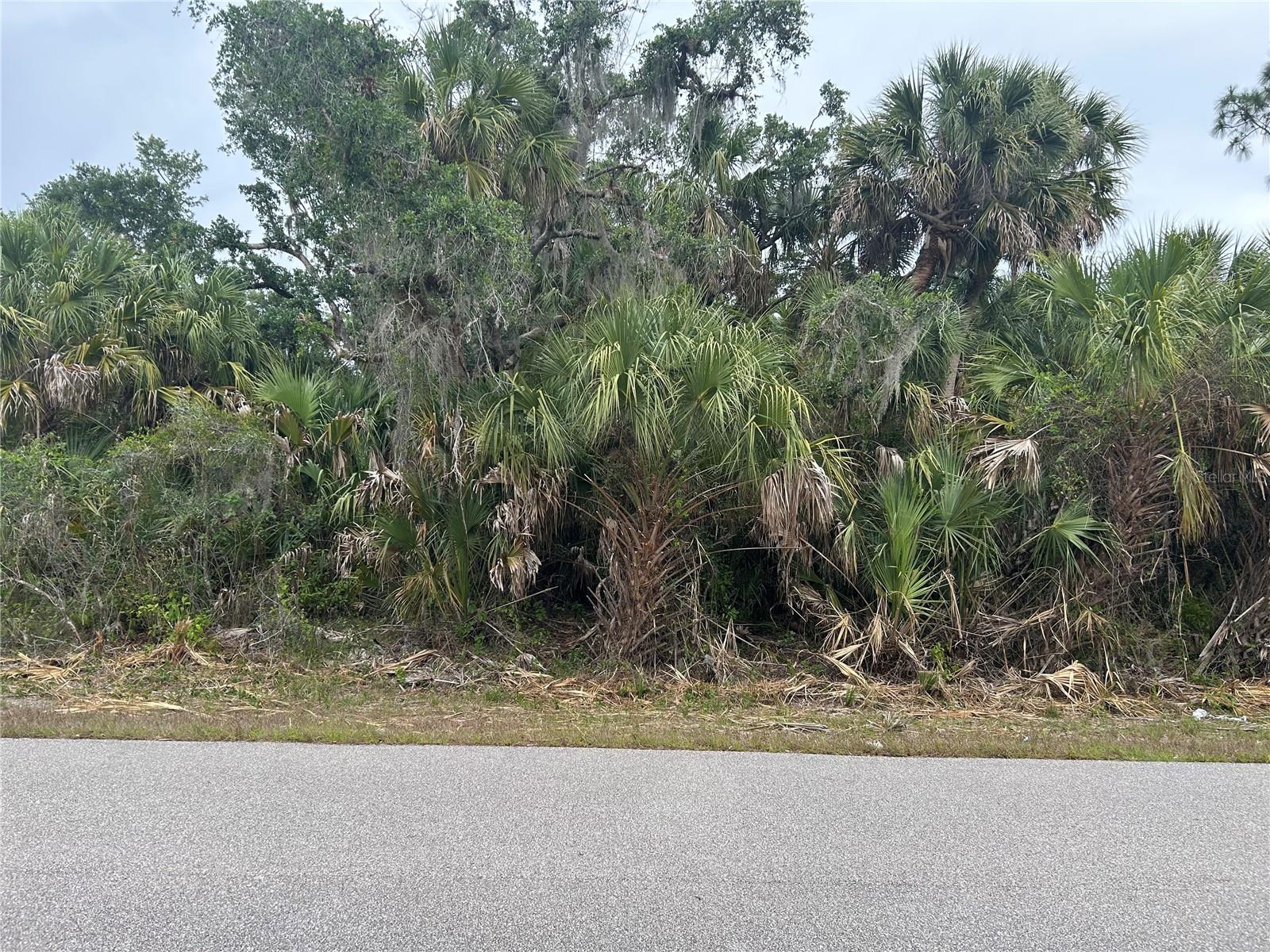 Basket St, FL
