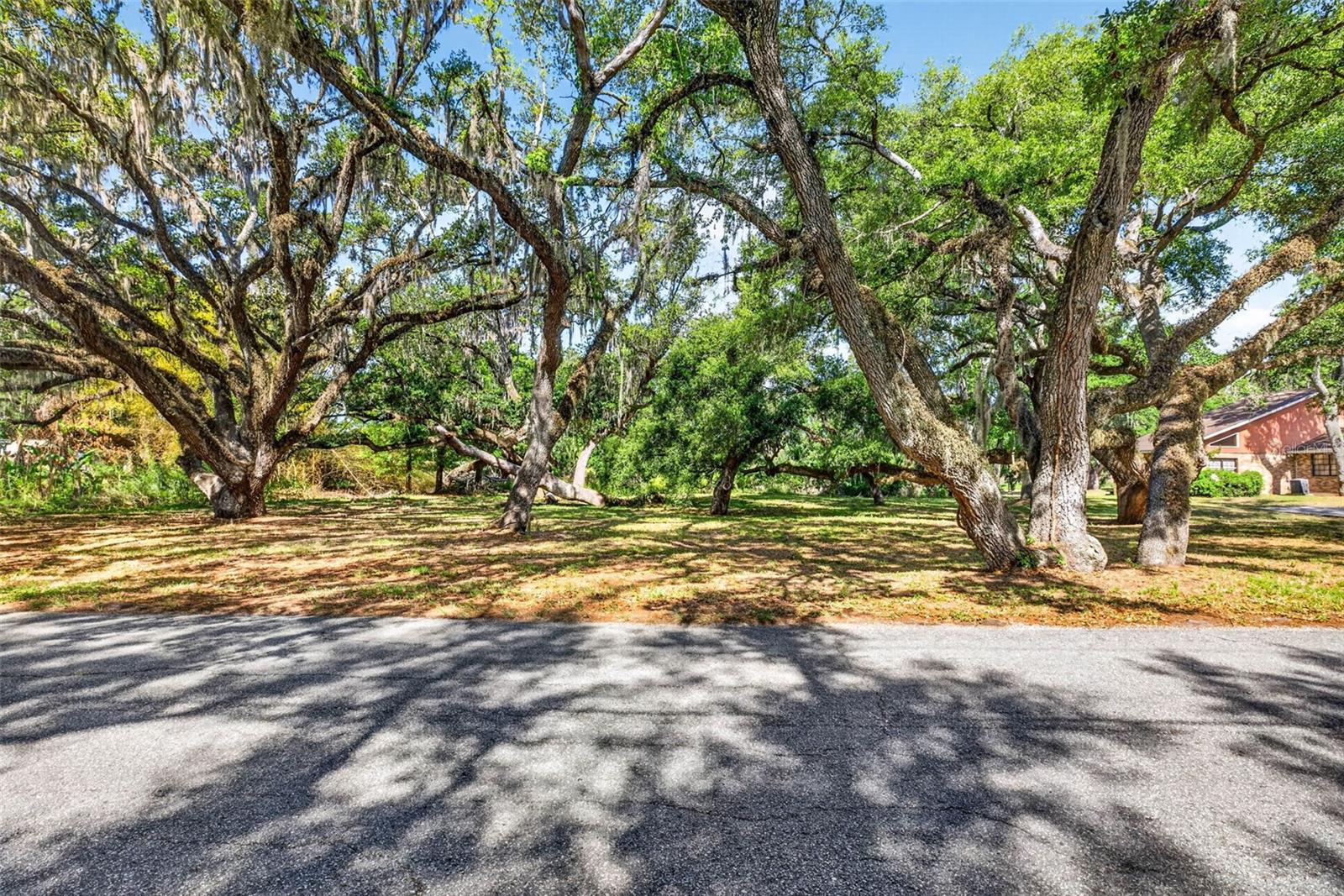 5355 Bernadette Dr, FL