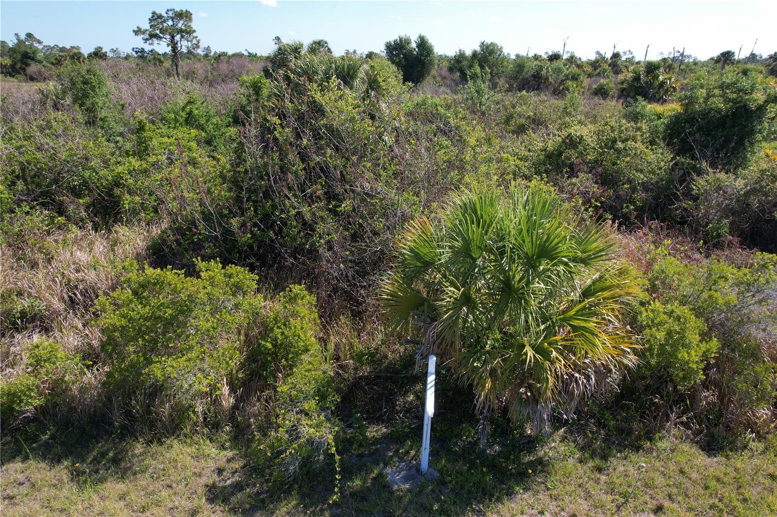 13 Magellan Street, FL
