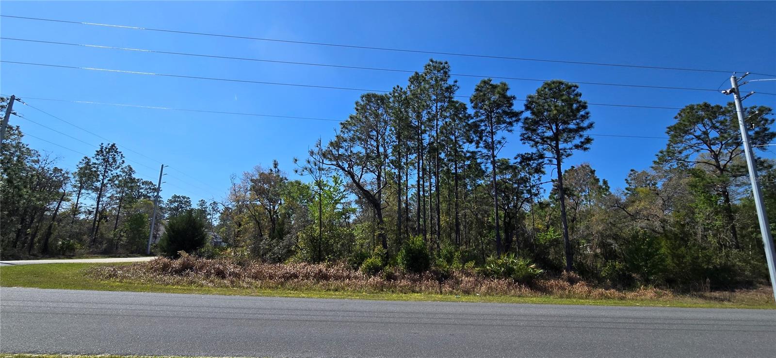 12398 Ruffed Grouse Road, FL