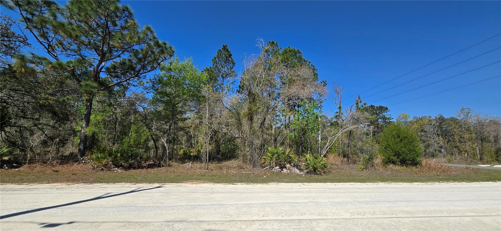 12398 Ruffed Grouse Road, FL