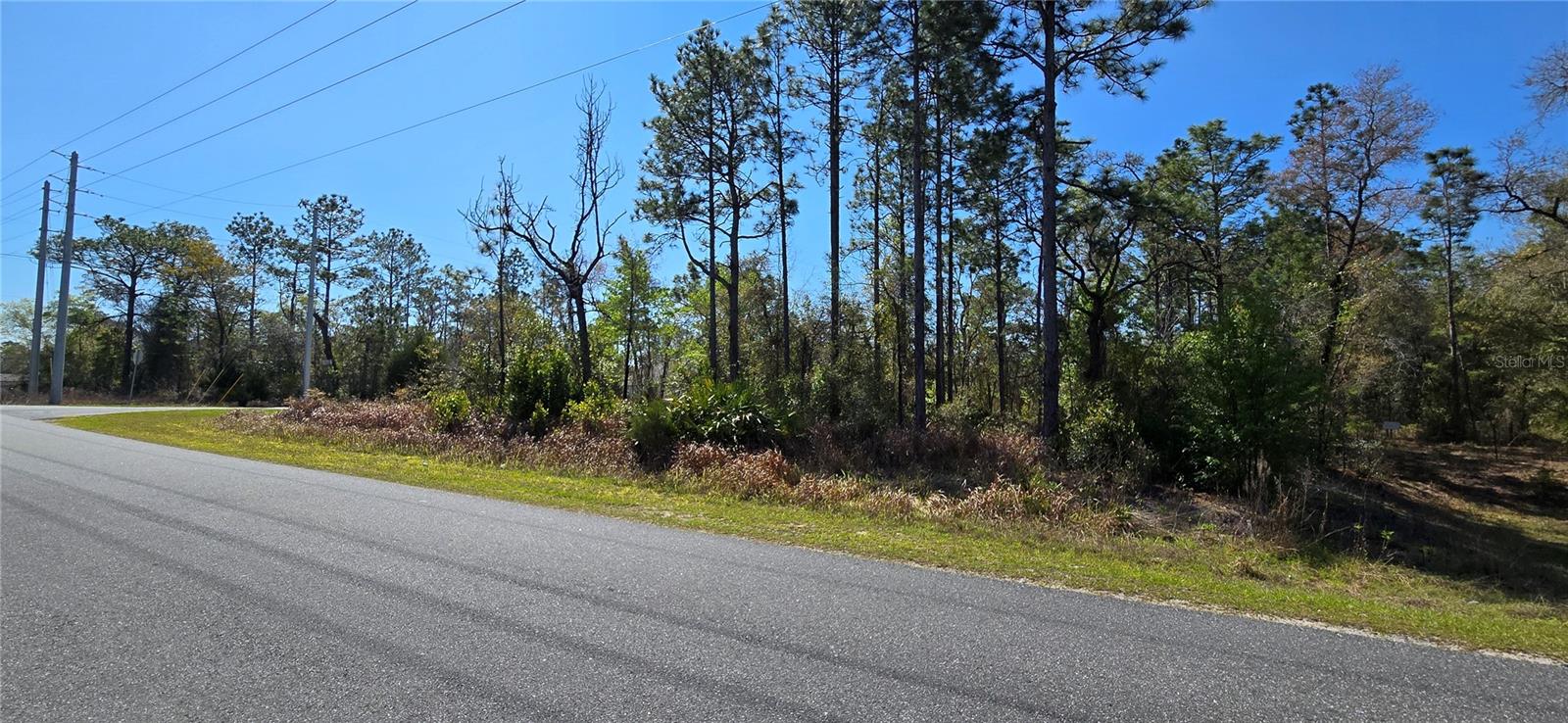 12398 Ruffed Grouse Road, FL