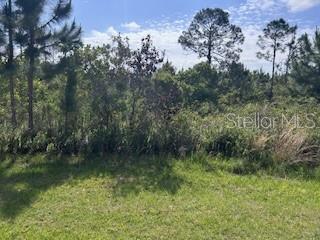 12 Desoto (Red Grange Blvd) Ave, FL