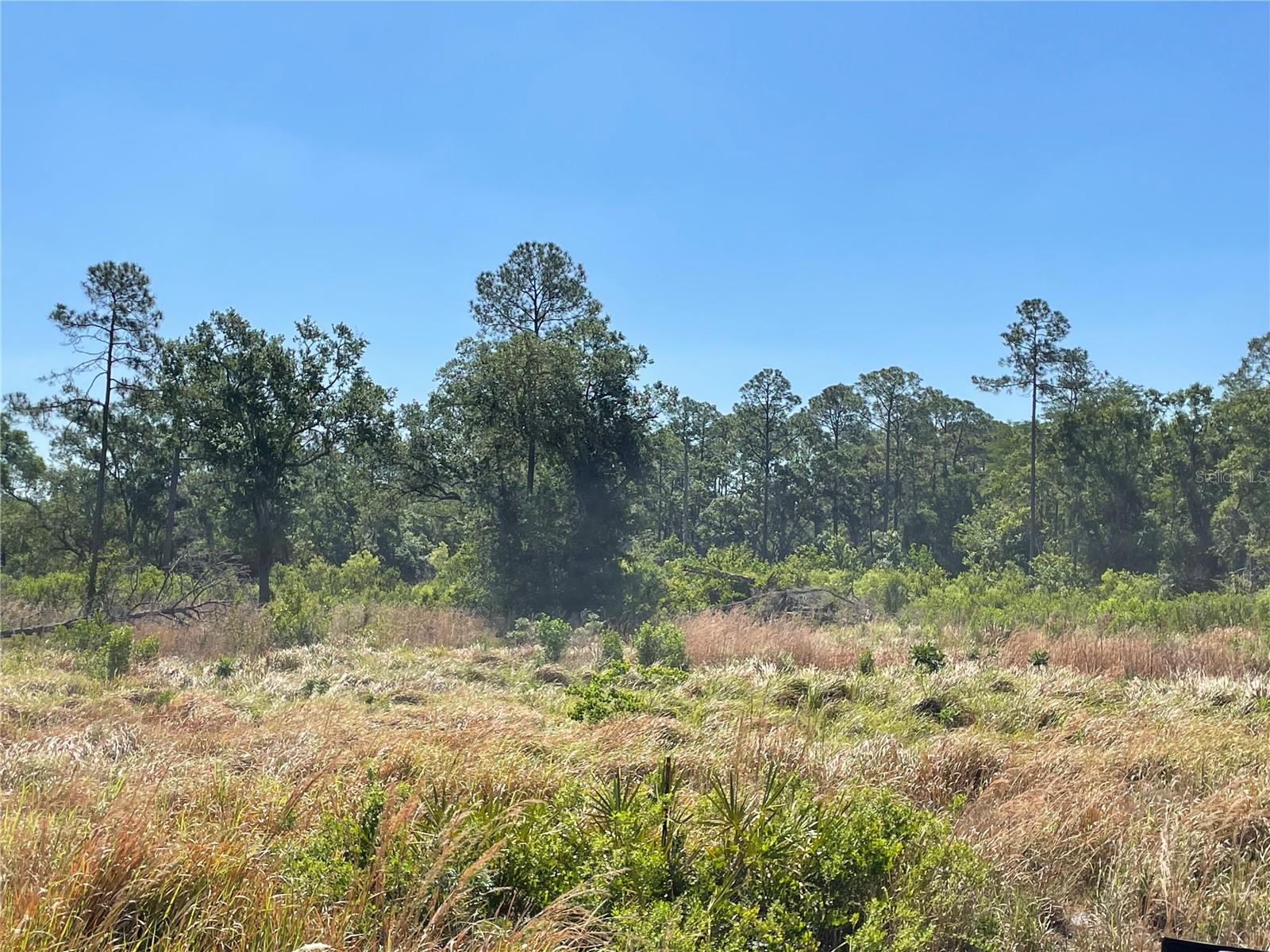 Avonwood, FL