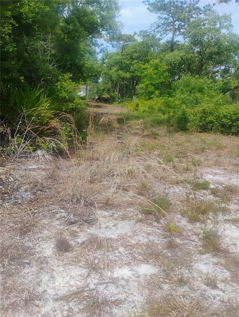 Brookside Cir, FL