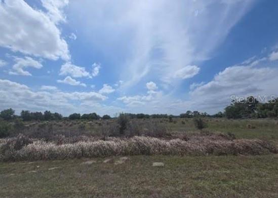 0 0 Artifact Dr, FL