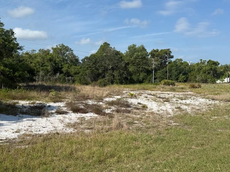 Cedarwood Dr, FL