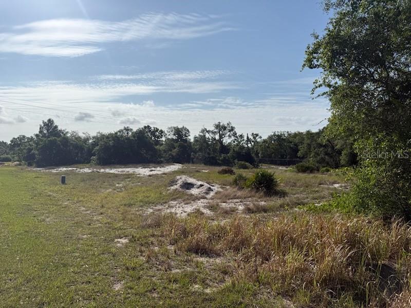 Cedarwood Drive, FL