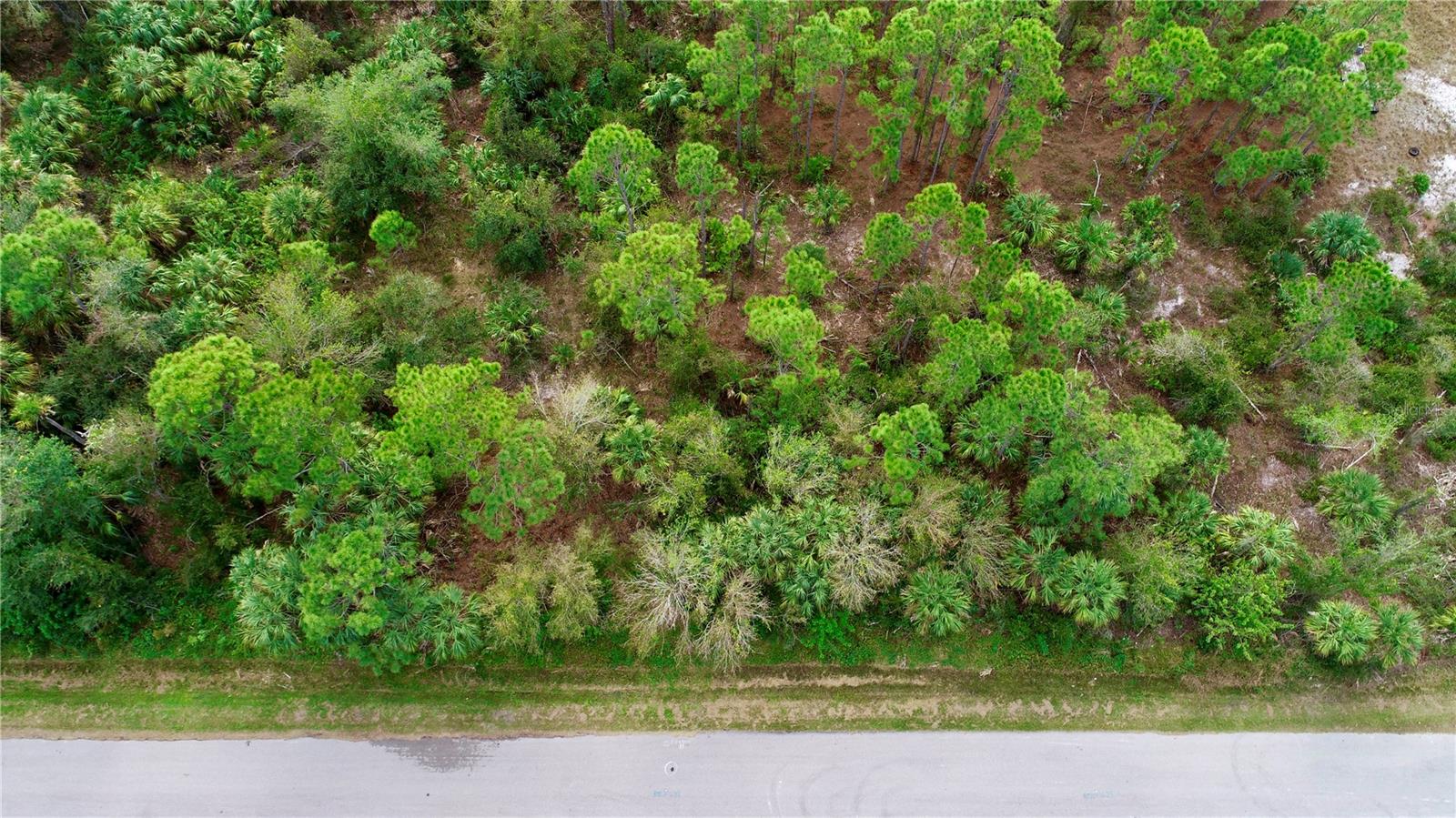 26373 Deer Road, FL