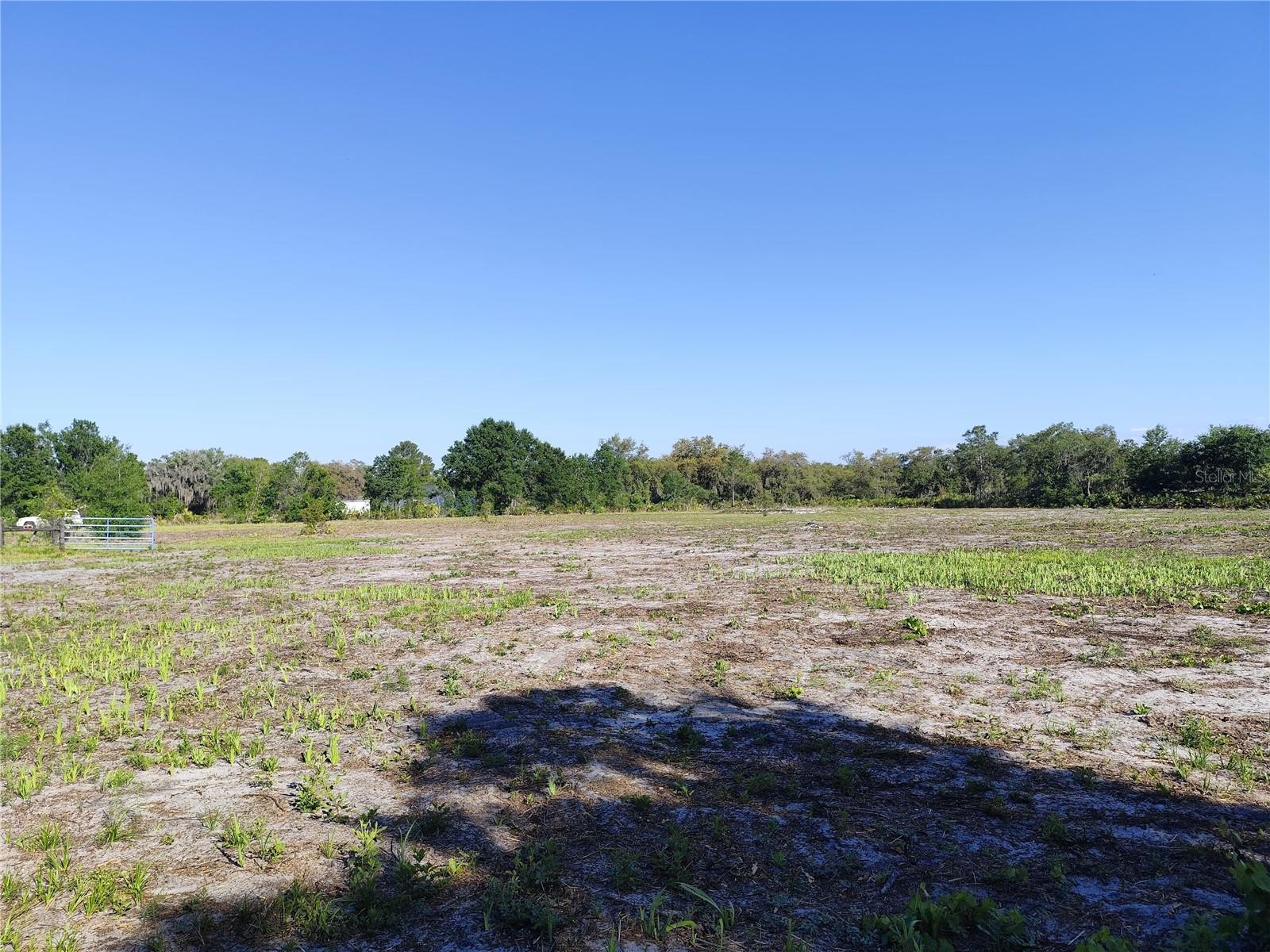 4535 Sarver Avenue, FL