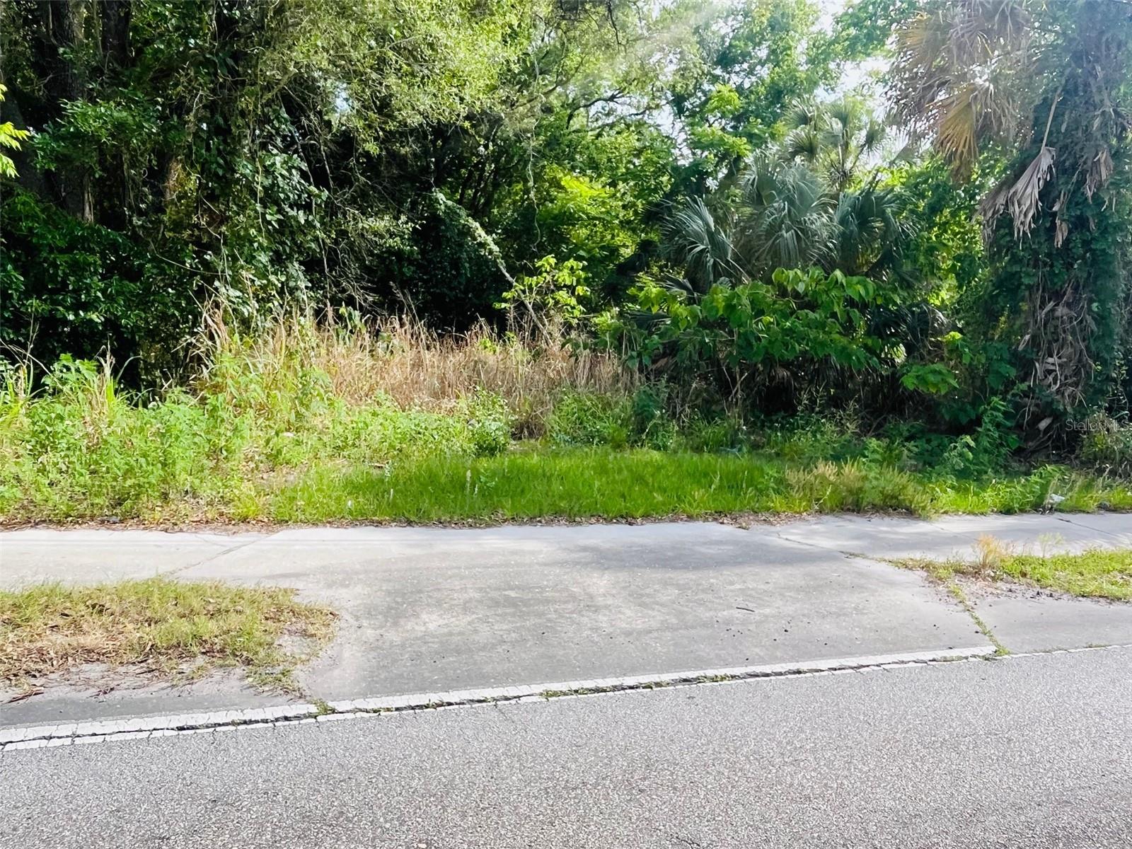 Tbd Celery Avenue, FL