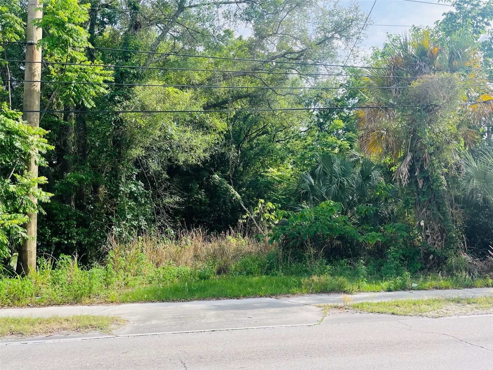 Tbd Celery Avenue, FL