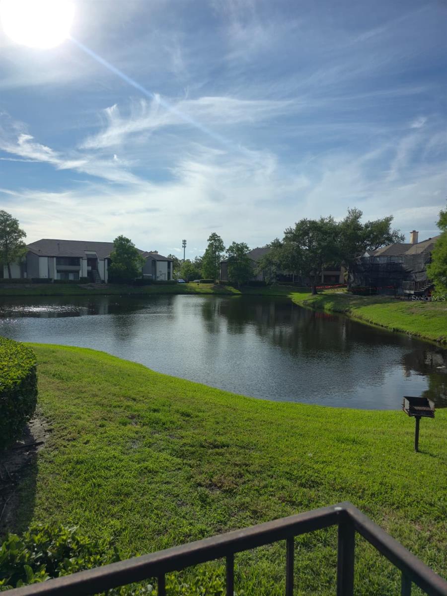 10263 Gandy Boulevard, FL