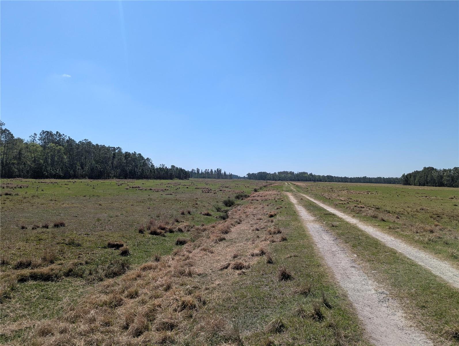 Deen Still Rd E, FL