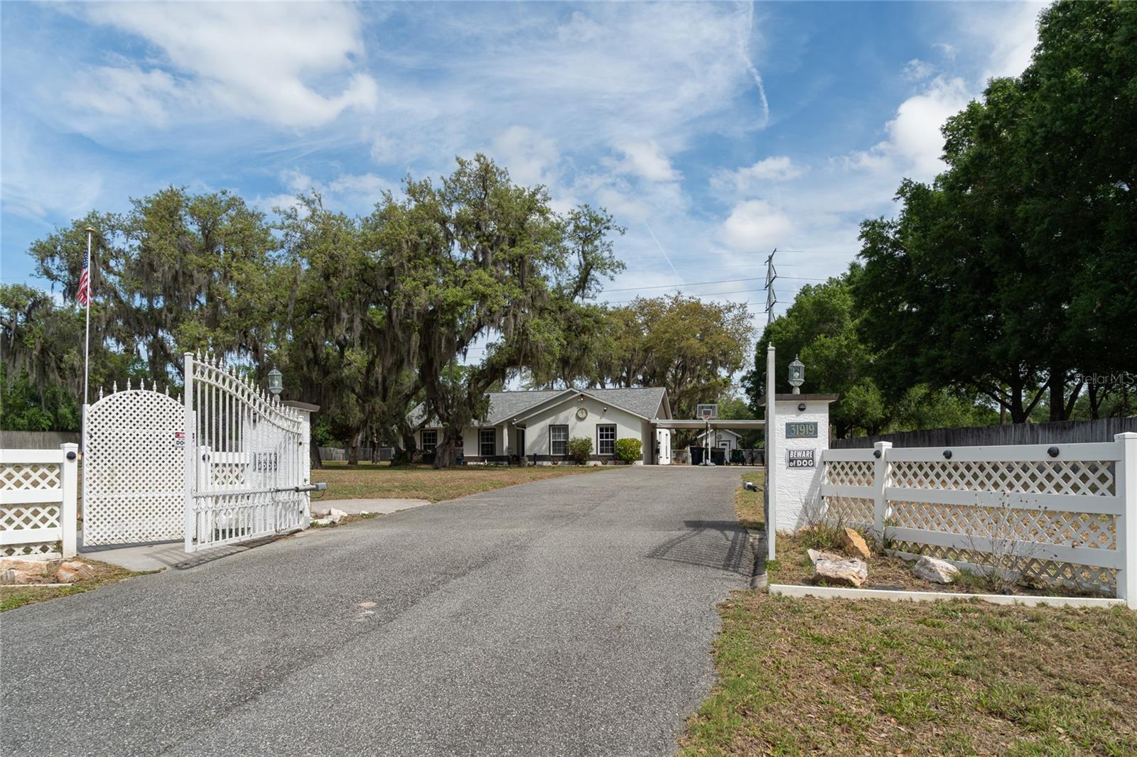 31919 Hedgerow Dr, FL