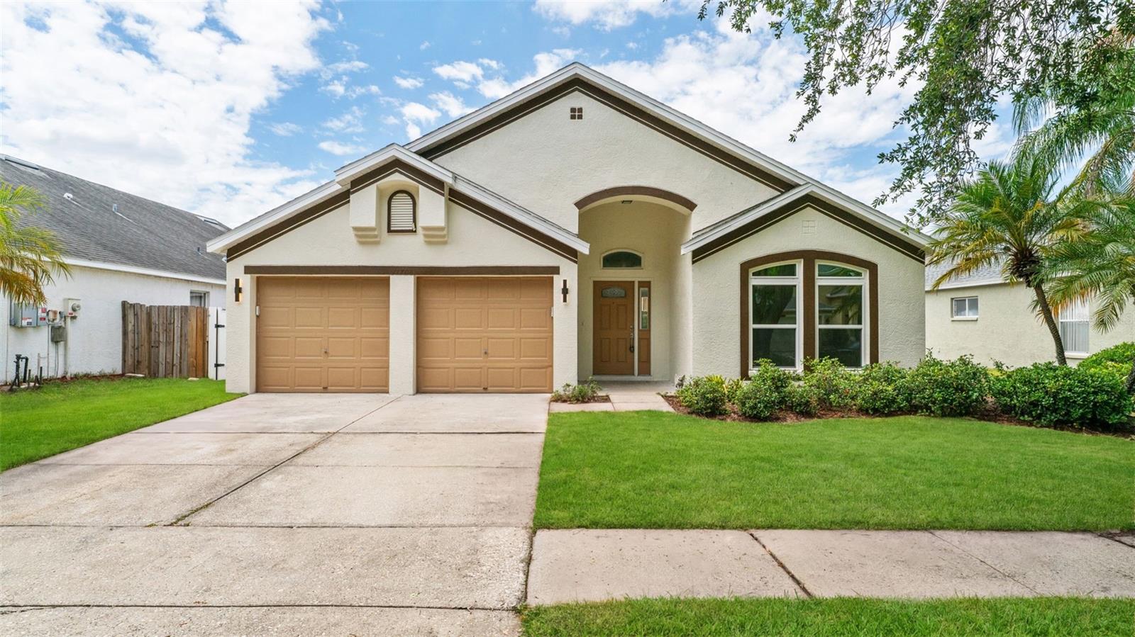 11708 Carrollwood Cove Drive, FL