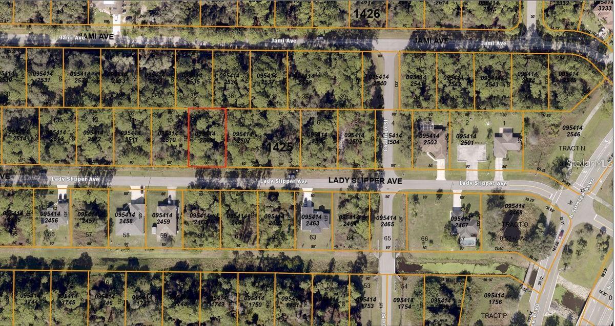 Lady Slipper Ave, FL