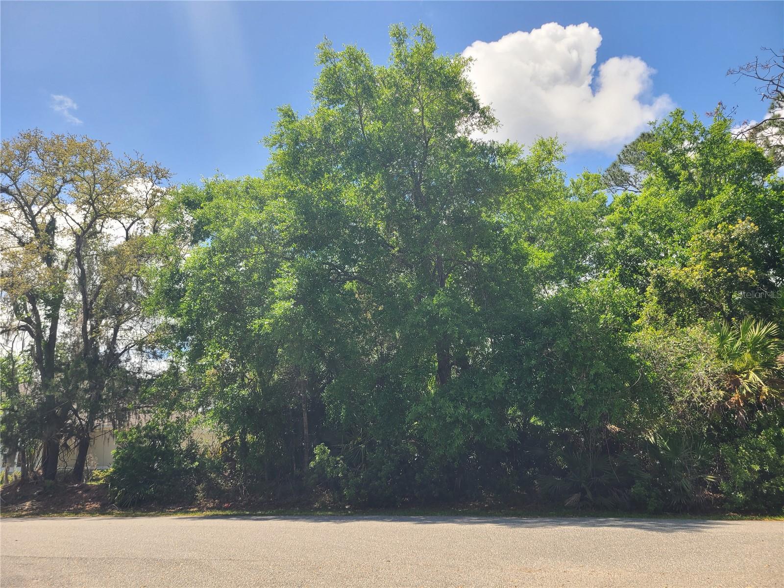 17 Farver Lane, FL