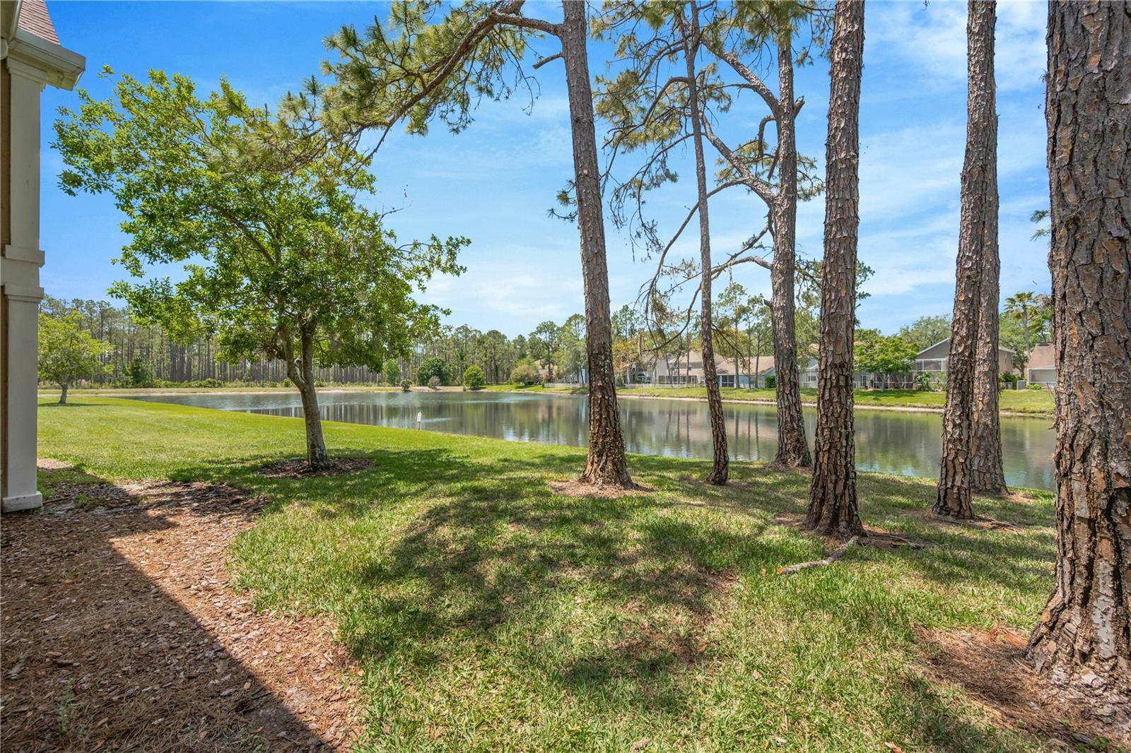 9481 Highland Oak Drive, FL