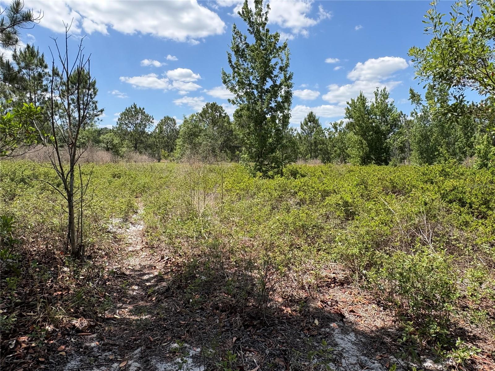 San Juan Ave #Lot 29, FL