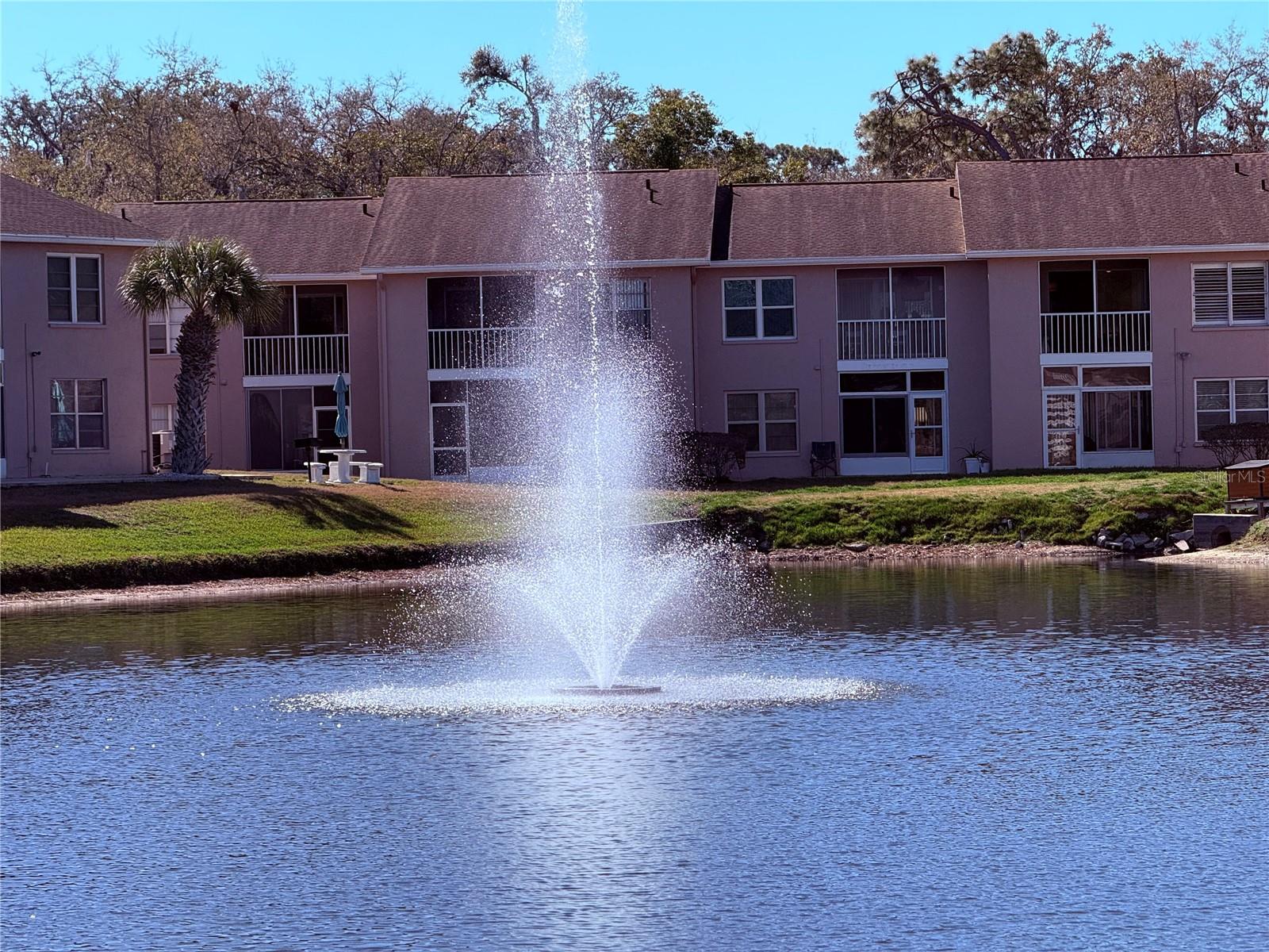 6519 Spring Flower Drive, FL