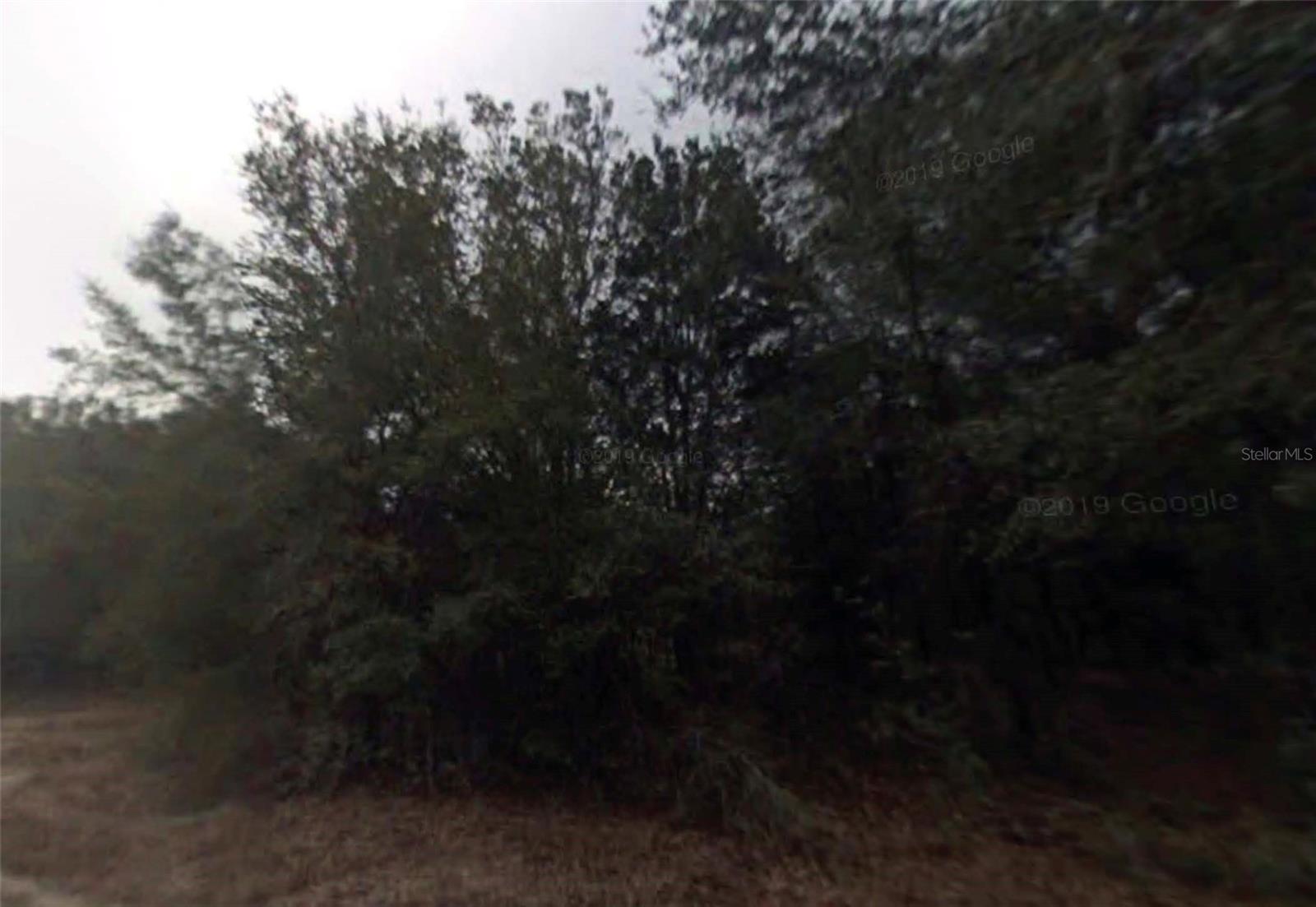 614 Longwood Ave, FL