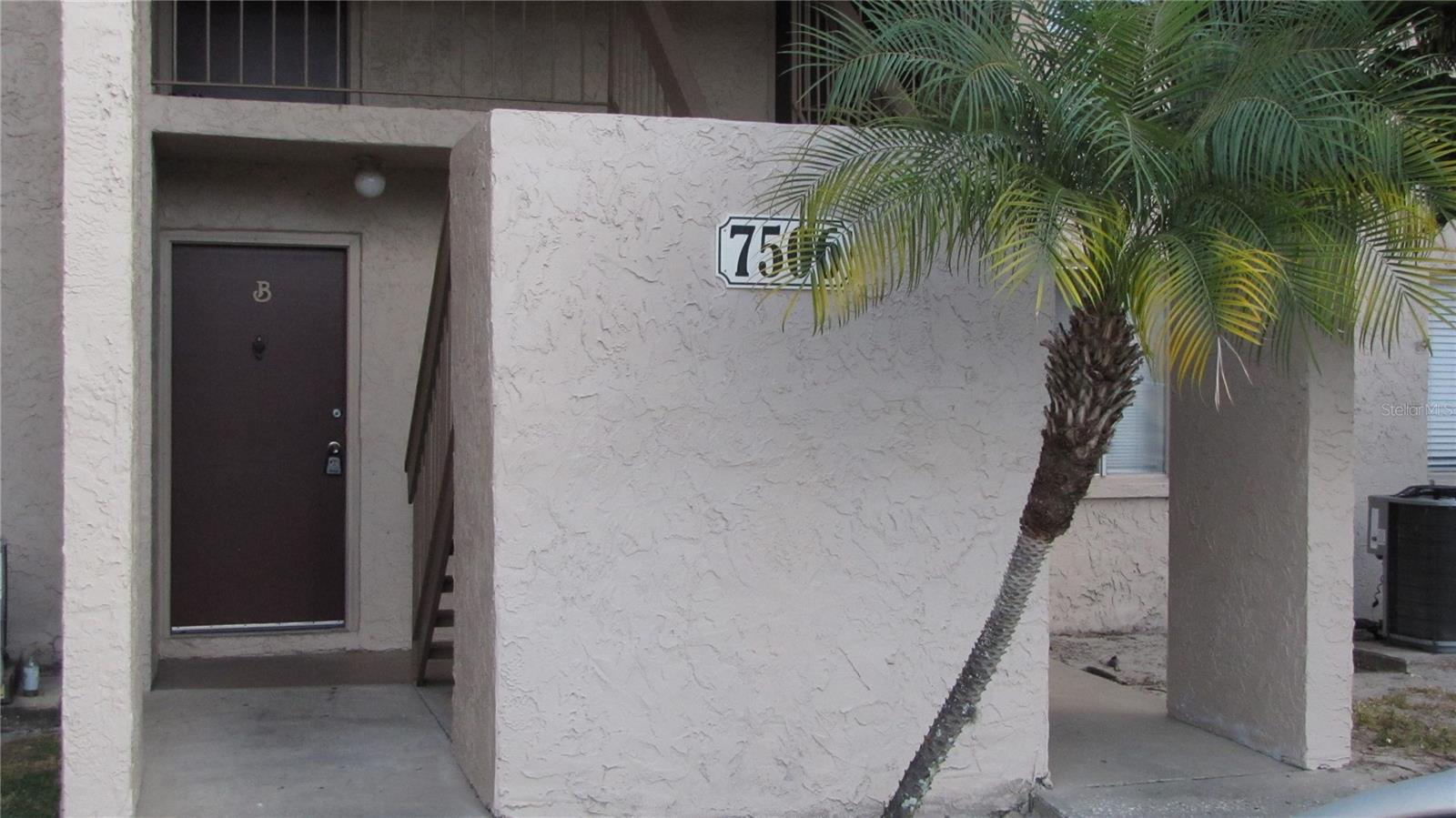 7506 Needle Leaf Place, FL