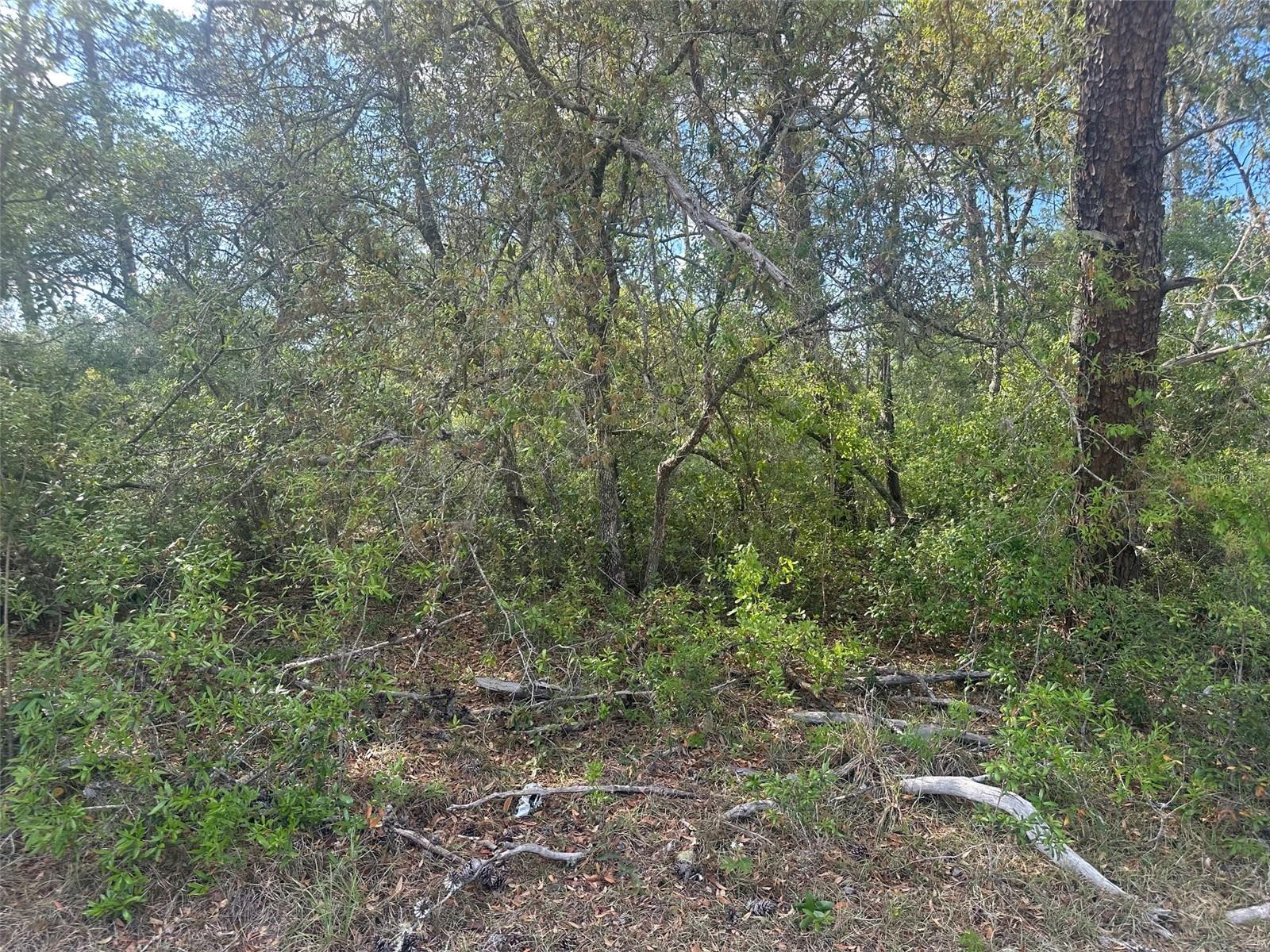 Lot 6 Sw 170th Pl, FL