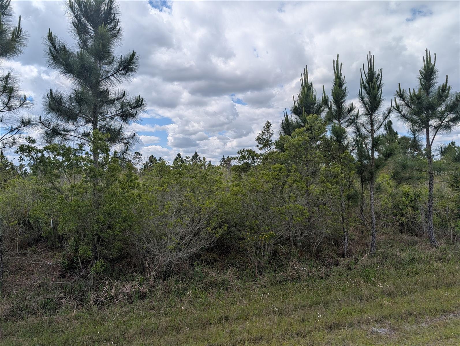 Althea Drive, FL