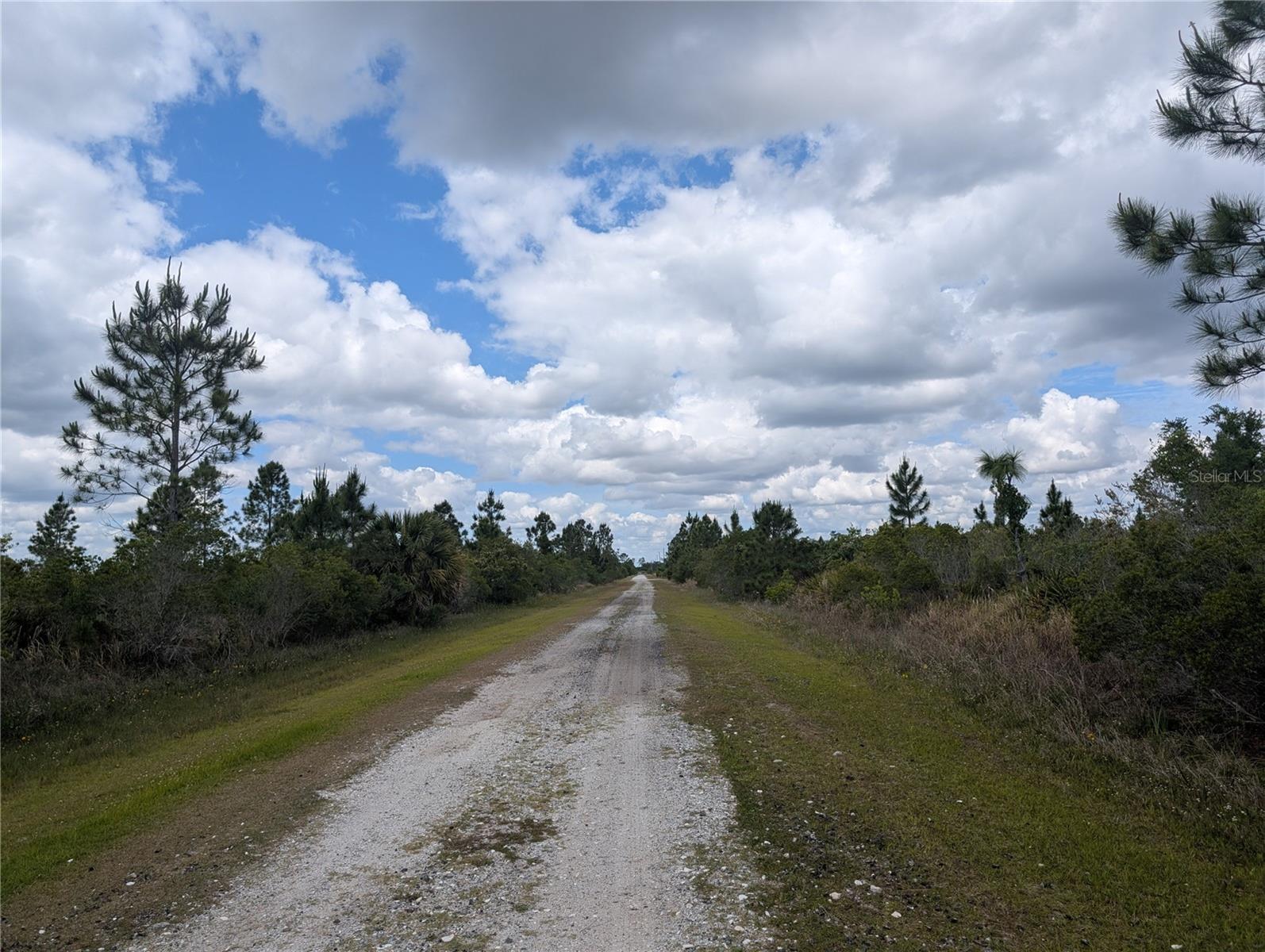 Althea Drive, FL