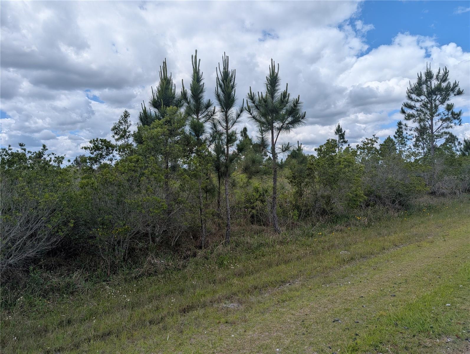 Althea Drive, FL